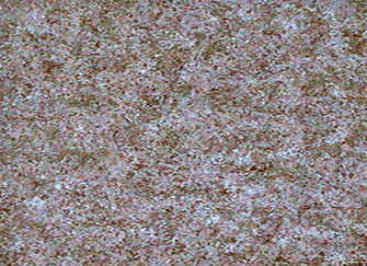 裝修材料清單 裝修材料大全 裝修材料價格 第19頁 齊裝網資訊