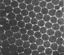 嘉力豐墻基膜 裝修材料要因材施用