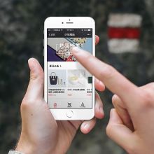 天津市龍華新技術開發公司 玩具、電子產品與軟件的互聯網銷售新勢力